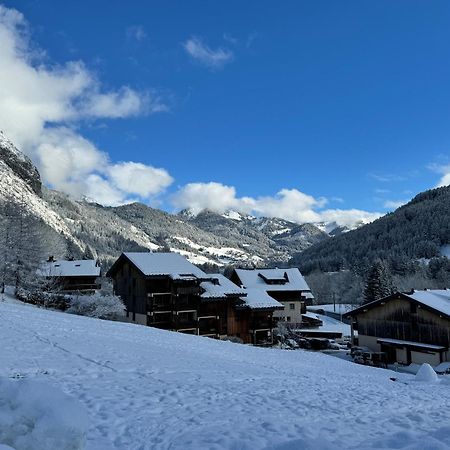 Appartement Cosy Proche Chatel Portes Du Soleil - Linge Inclus Абонданс Экстерьер фото