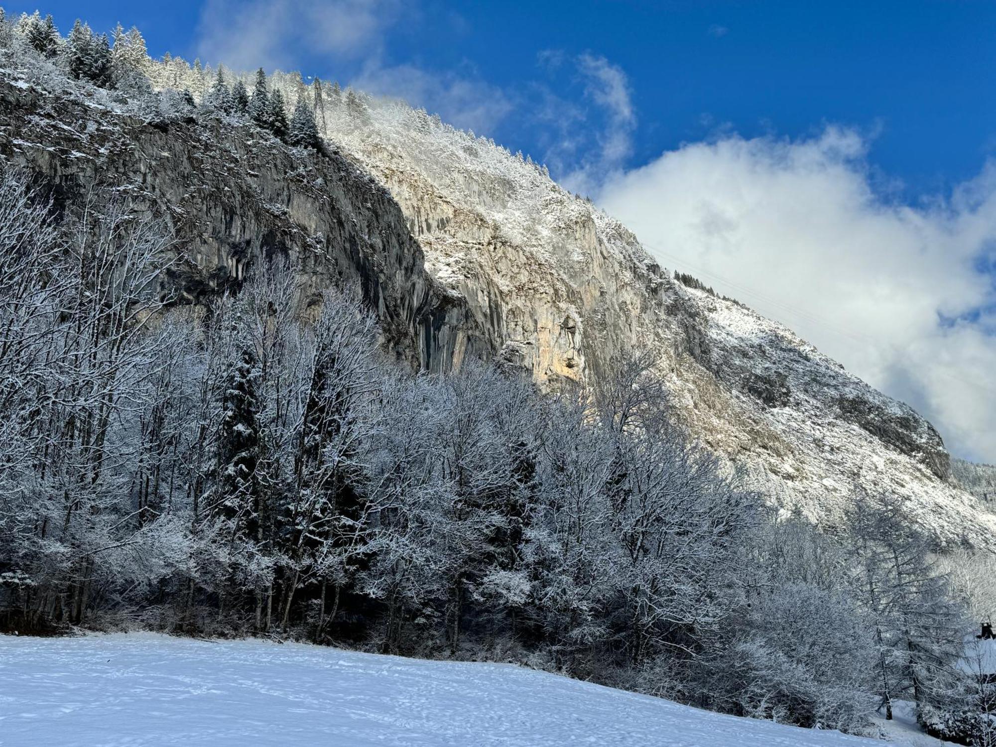 Appartement Cosy Proche Chatel Portes Du Soleil - Linge Inclus Абонданс Экстерьер фото